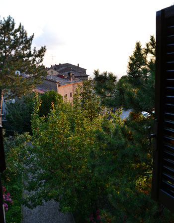 Looking-out-my-Window