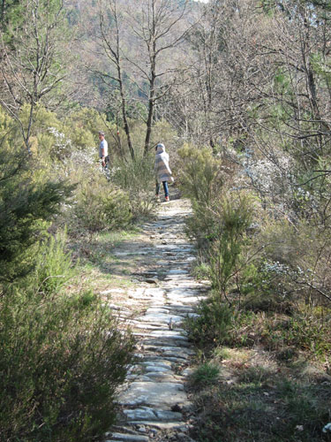Heading down Cortona's Roman Road