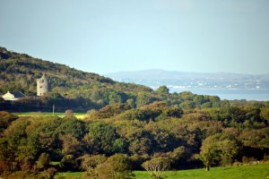 Newtown Castle behind my B&B