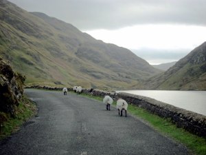 Out for a stroll -- EVERYWHERE in this area