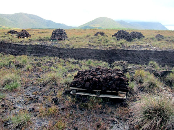 Peat Bog showing where cut with a spade, and stacks