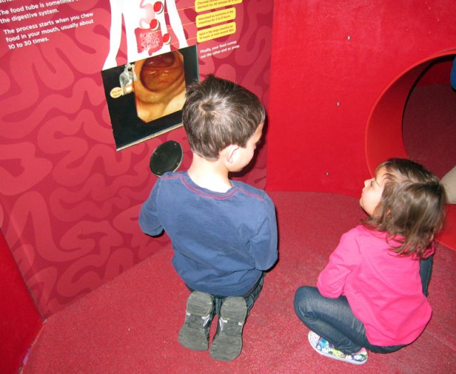 Nikhil and Devi inside the intestine watching the video of how we swallow