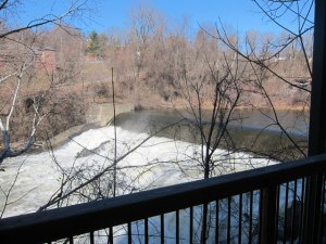 Great surrounds for dinner.