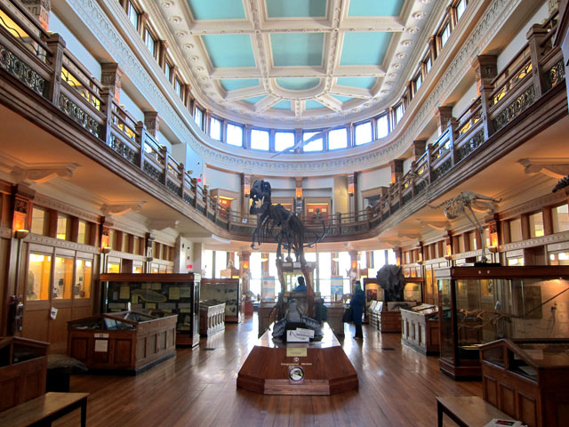 The main floor of the Redpath Museum and upper floor balcony.